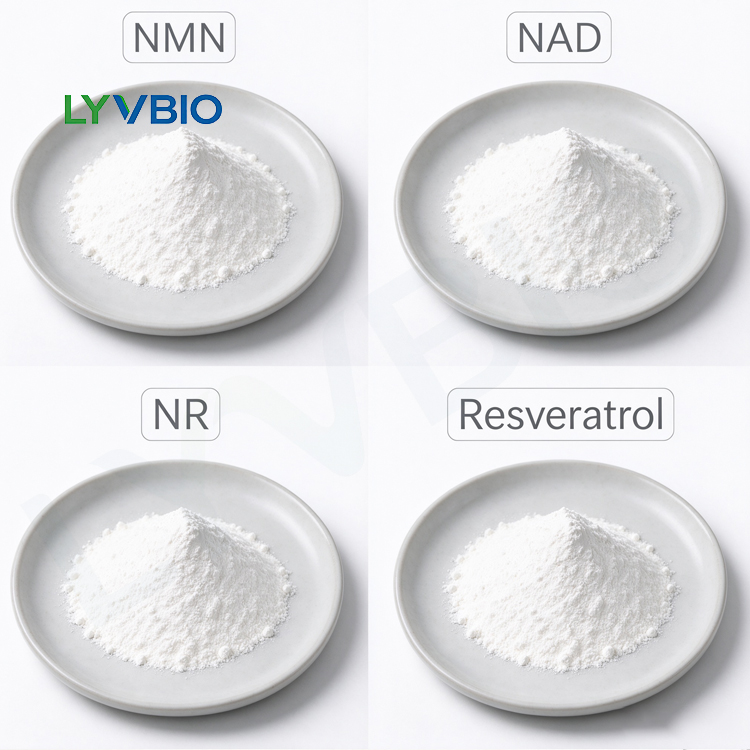 β-Nicotinamide adenine dinucleotide