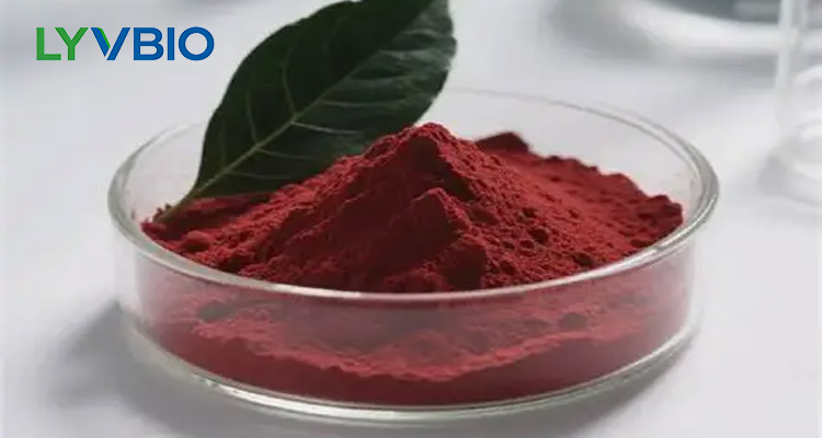 Will PQQ Become the Next “Hyaluronic Acid”?