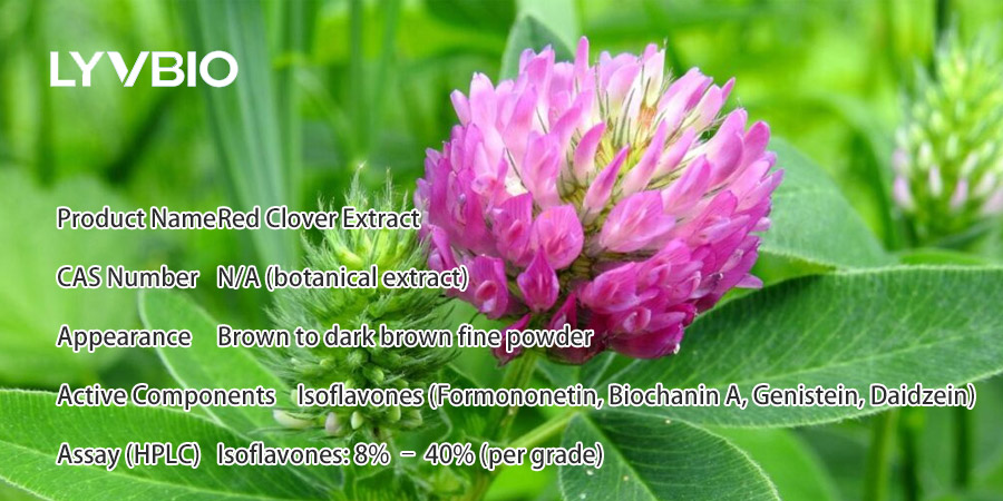 Red Clover Extract, Red Clover Isoflavones, Trifolium pratense Extract, Red Clover Herb Extract, Red Clover Flower Extract, Red Axle Extract, Red Axle Isoflavone, Trifolium Extract, Clover Isoflavones Trifolium pratense Extract