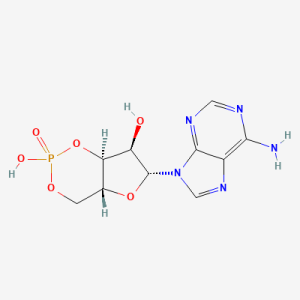 Adenosine Cyclic Phosphate