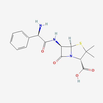 buy Ampicillin Ampicillin Structure