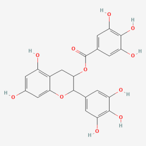 Green Tea Extract