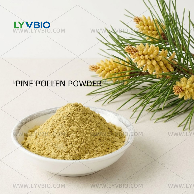 buy Broken Wall Pine Pollen buy Broken Wall Pine Pollen